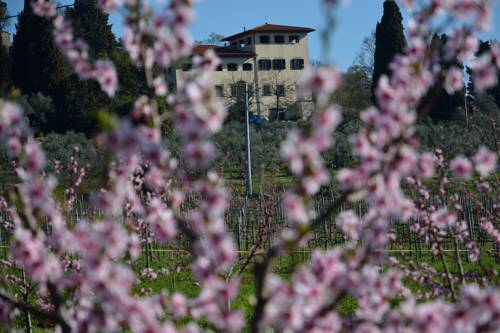 Rignano sull'Arno Italie Code de réduction de dernière minute Booking.com
