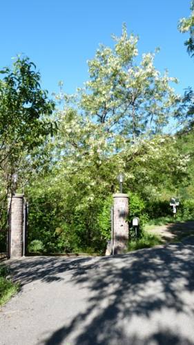 Castiglione Chiavarese Italien Last-Minute-Rabattcode Booking.com