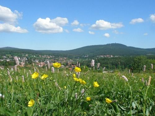 Braunlage Germany Last Minute Discount Code Agoda.com