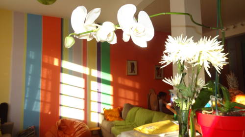 Salvador (Bahia) Brasilien Last-Minute-Rabattcode Booking.com