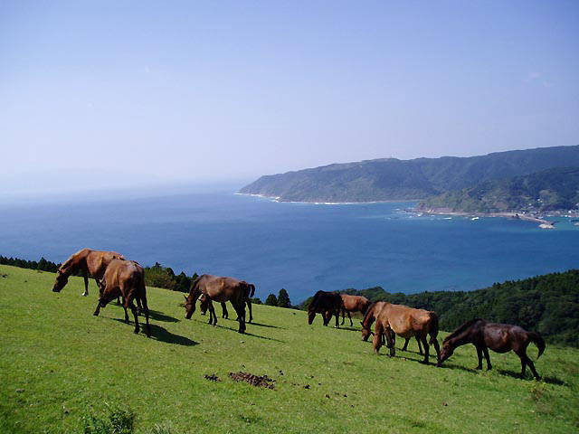 Nichinan Japan Last Minute Discount Code Agoda.com