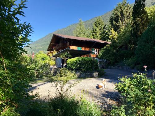 Ringgenberg Switzerland Last Minute Discount Code Agoda.com