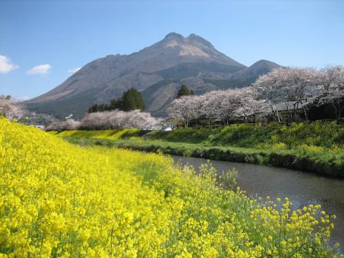 Yufu Japan Last Minute Discount Code Booking.com