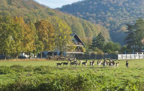 Handthal Germany Last Minute Discount Code Booking.com