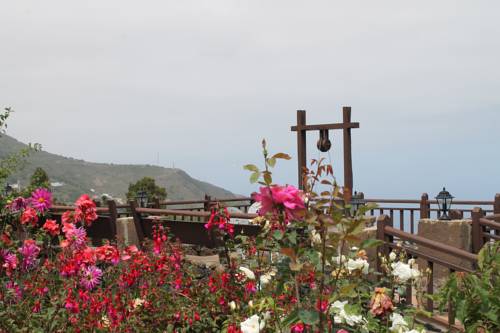 Icod de los Vinos Spain Last Minute Discount Code Booking.com