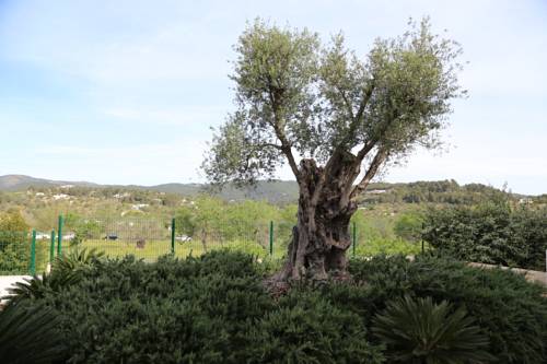 Sant Carles de Peralta Spain Last Minute Discount Code Booking.com