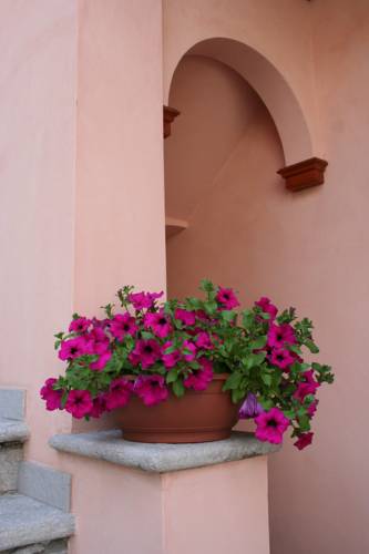 Introd Italy Last Minute Discount Code Booking.com