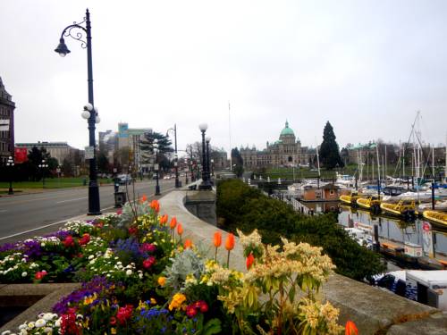 Victoria Canada Last Minute Discount Code Booking.com