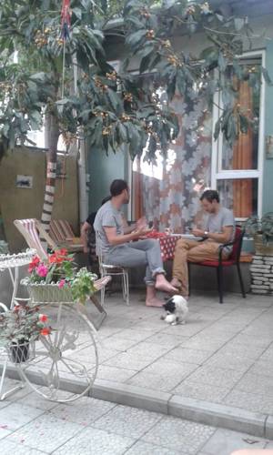 Tbilisi Georgia Último Minuto Código de Descuento Booking.com