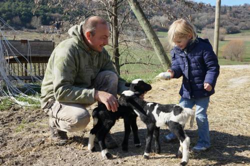 Forcalquier France Last Minute Discount Code Booking.com