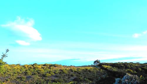 Hermanus South Africa Last Minute Discount Code Booking.com
