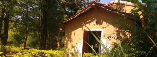 Kanha India Last Minute Discount Code Agoda.com