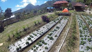 Lombok Indonesia Last Minute Discount Code Agoda.com