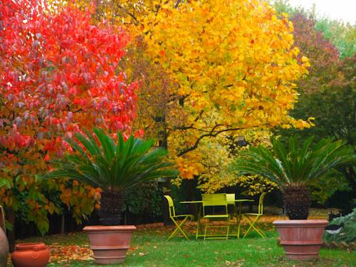 Cernusco Lombardone Italien Last-Minute-Rabattcode Booking.com