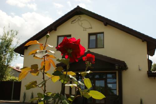 Aleksandrów Łódzki Poland Last Minute Discount Code Booking.com