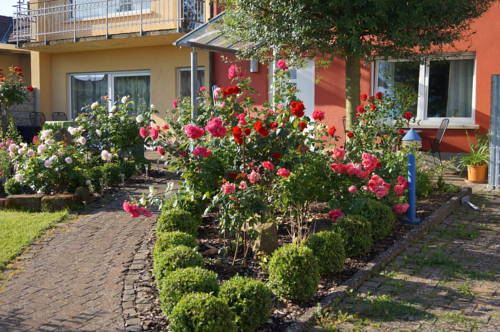 Kapellen Drusweiler Allemagne Code de réduction de dernière minute Booking.com