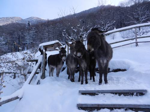 S. Nazzaro Switzerland Last Minute Discount Code Booking.com