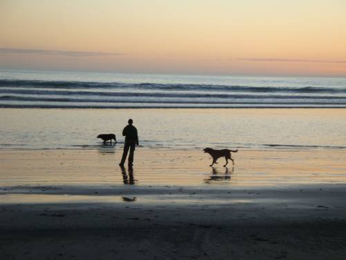 Papatotara New Zealand Last Minute Discount Code Booking.com