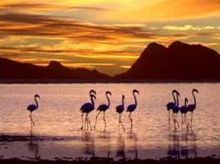 Fisherhaven South Africa Last Minute Discount Code Agoda.com