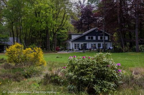 Vierhouten Netherlands Last Minute Discount Code Booking.com