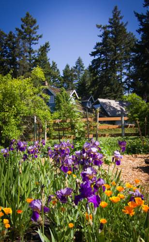 Orcas Island (Washington) Vereinigte Staaten Last-Minute-Rabattcode Booking.com