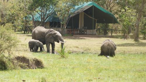 Masai Mara Kenya Code de réduction de dernière minute Booking.com