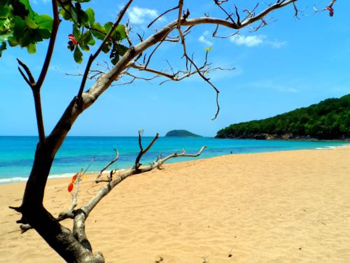 Deshaies Guadeloupe Last Minute Discount Code Booking.com