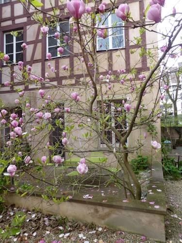 Strasbourg France Last Minute Discount Code Booking.com