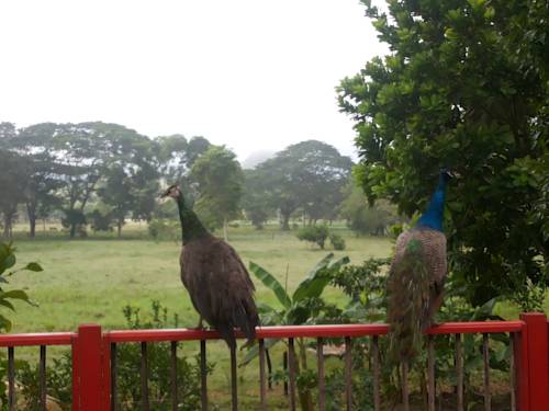 Tolú Colombia Last Minute Discount Code Booking.com