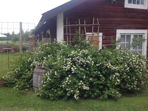 Rodon Schweden Last-Minute-Rabattcode Booking.com