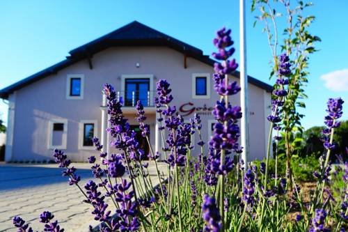 Kaliska Poland Last Minute Discount Code Booking.com