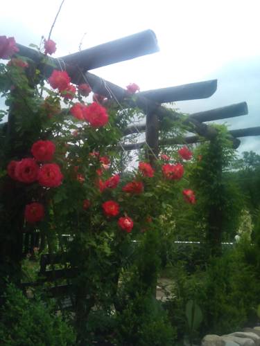 Novomikhaylovskiy Russia Last Minute Discount Code Booking.com