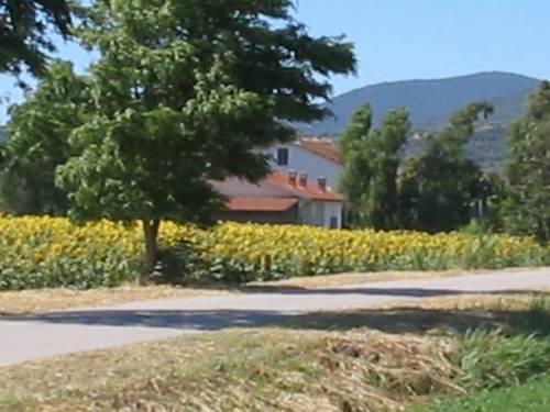 Grosseto Italy Last Minute Discount Code Booking.com