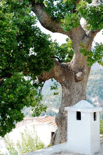 Positano Italy Last Minute Discount Code Booking.com