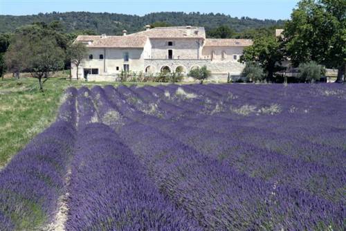 Solérieux France Code de réduction de dernière minute Booking.com