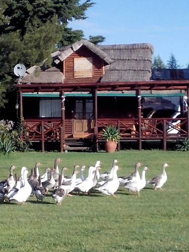 Villa Lía Argentine Code de réduction de dernière minute Booking.com