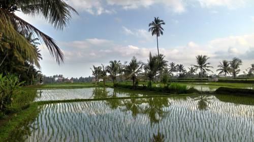Ubud Indonesia Último Minuto Código de Descuento Booking.com