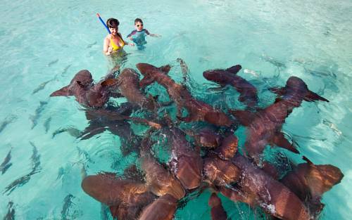 Farmer's Hill Bahamas Last Minute Discount Code Booking.com