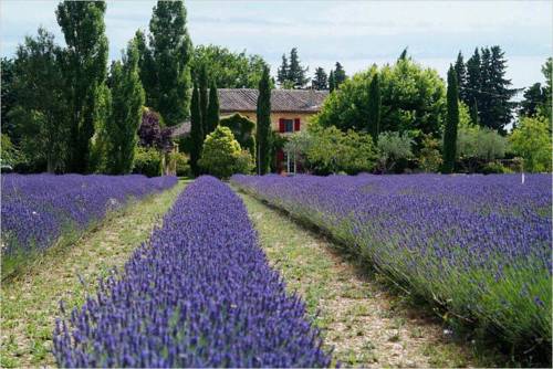 Pescia Romana Italy Last Minute Discount Code Booking.com