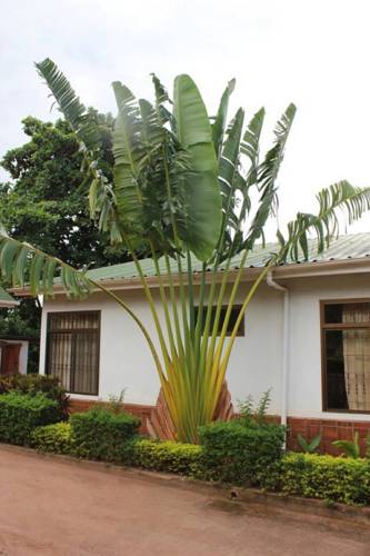 Moshi Tanzania Last Minute Discount Code Booking.com