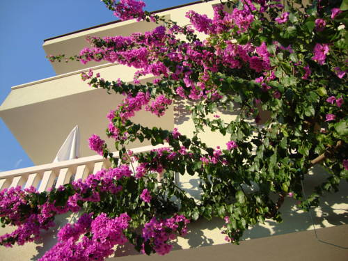 Baška Voda Croatie Code de réduction de dernière minute Booking.com