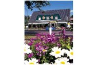 Westerveld Netherlands Last Minute Discount Code Agoda.com