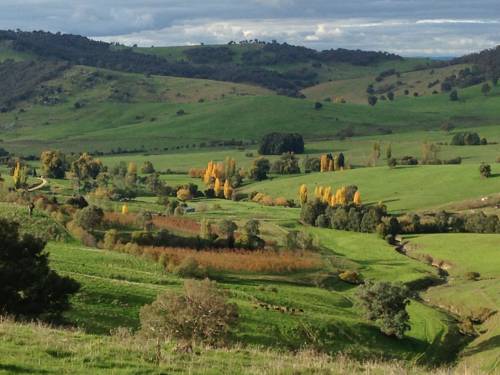 Adelong Australia Último Minuto Código de Descuento Booking.com