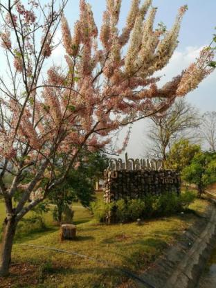Pai Thailand Last Minute Discount Code Agoda.com