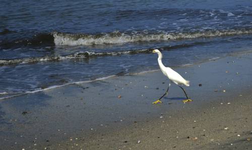 Ciénaga Colombia Last Minute Discount Code Booking.com