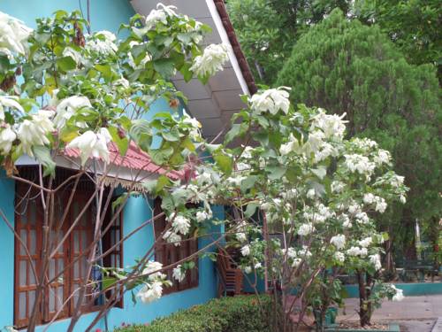 Udawalawe Sri Lanka Laatste minuut Kortingscode Booking.com