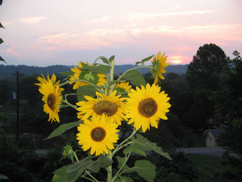 Nelsonville (Ohio) Verenigde Staten Laatste minuut Kortingscode Booking.com