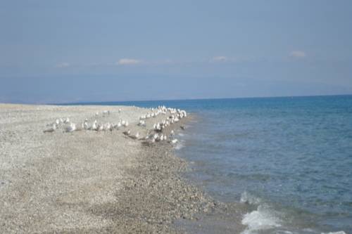 Guardavalle Italien Last-Minute-Rabattcode Booking.com