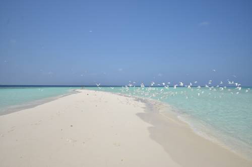 Ukulhas Malediven Last-Minute-Rabattcode Booking.com