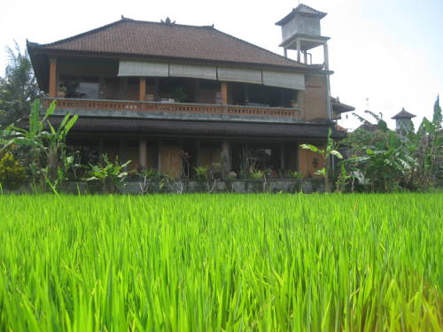 Ubud Indonesia Last Minute Discount Code Booking.com